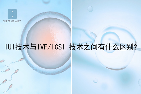 燕威娜医生讲解,IUI与IVF/ICSI之间有什么区别？