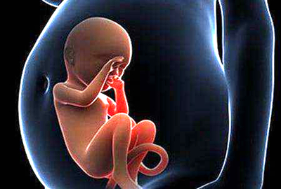 格鲁吉亚试管婴儿何种情况下可以移植双胎?成功率怎么样?