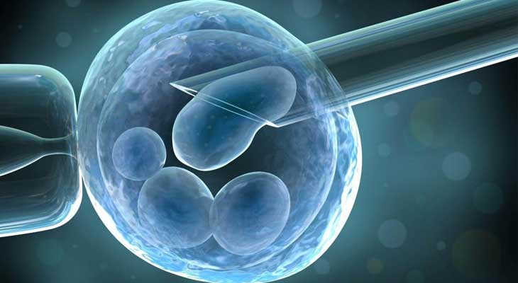 乌克兰试管婴儿选用pgd协助选择男士胚胎