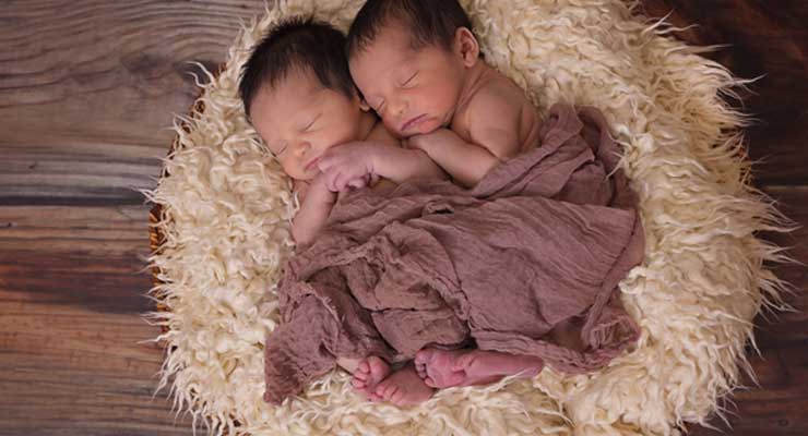 美国试管婴儿双胞胎
