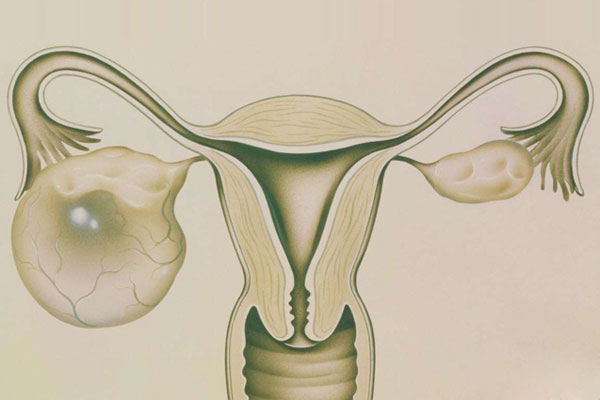 高龄女性流产率和胎儿畸形率都高于年轻妇女