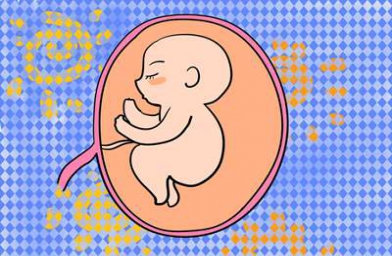 新加坡试管婴儿专家如何从细节入手-助您拥有好孕人生?