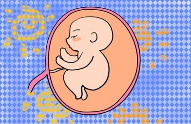中美联合研究首次发现：受精卵或非生命起始-医旅孕-全球试管婴儿预约 | 费用 