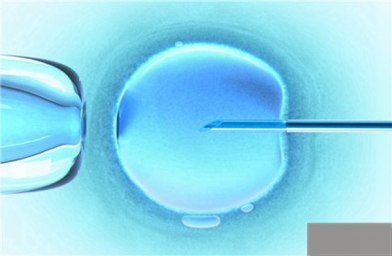卵子的大小多少是正常的，试管婴儿手术多久能受孕