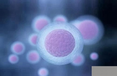 试管婴儿胚胎移植后出现白色分泌物正常吗？