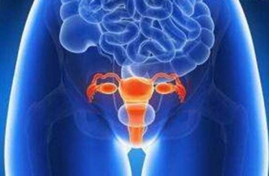 女性性欲低，卵巢功能不全是卵泡膜细胞瘤的征兆-备孕试管不孕不育知识