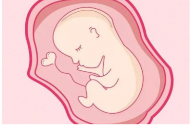 如何避免卵巢早衰？