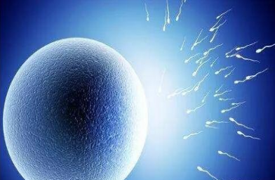 如何评估女性卵巢功能好不好？