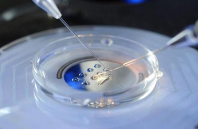 优质胚胎应该具备什么样的条件?